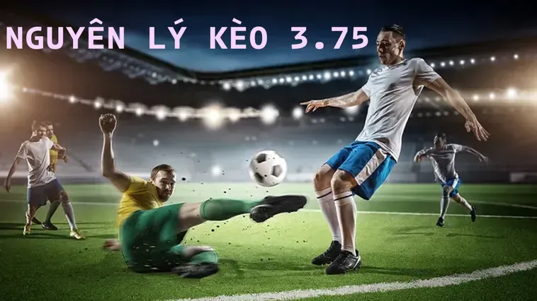 Khám Phá Chiến Thuật Đặt Cược Kèo 3.75 Đỉnh Cao Giúp Người Chơi Thắng Lớn