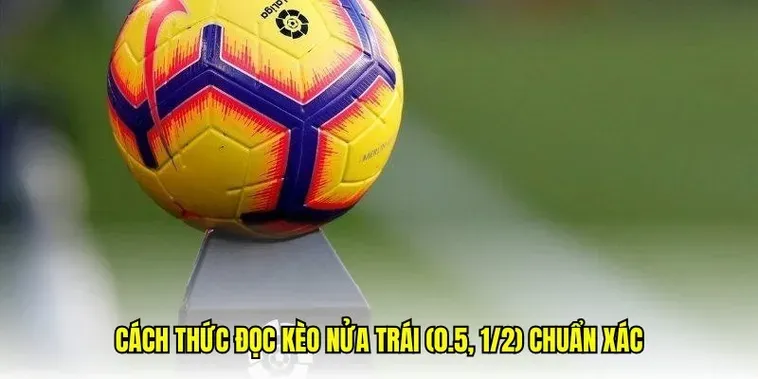 Tỷ Lệ Kèo Chấp 0.5 Đánh Giá Sức Mạnh Đội Bóng Trong Mùa Giải 2026