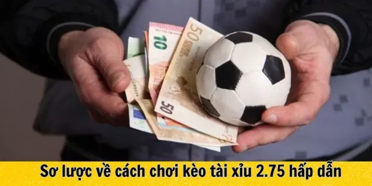 Chiến Thuật Đặt Cược Kèo Chấp 2 3/4 Siêu Chuẩn Cho Dân Chơi Đỉnh Cao