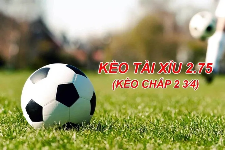 Hướng Dẫn Chi Tiết Chiến Thuật Đặt Cược Kèo 2.75 Mang Lại Chiến Thắng Bất Ngờ