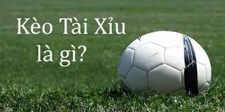 Bí Quyết Chinh Phục Kèo Tài Xỉu Đỉnh Cao Mang Lại Lợi Nhuận Khủng Cho Người Chơi