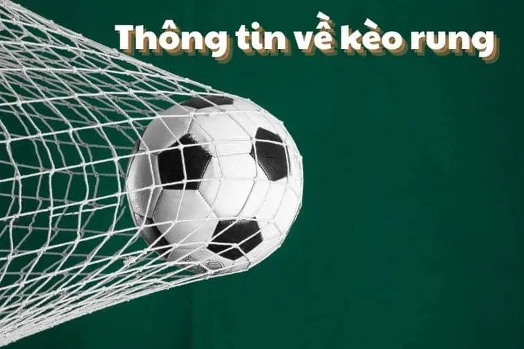 Bí Quyết Chiến Thắng Đỉnh Cao Khi Tham Gia Kèo Rung Trong Bóng Đá