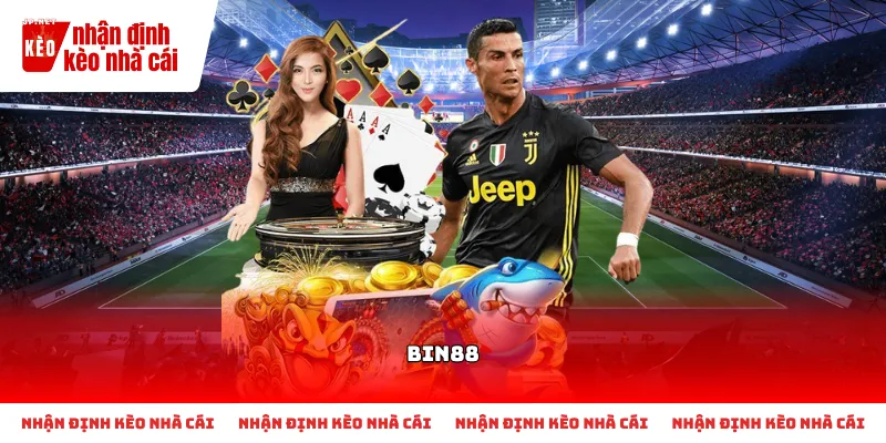 Tìm hiểu thông tin tổng quan về đơn vị nhà cái Bin88 và các dịch vụ