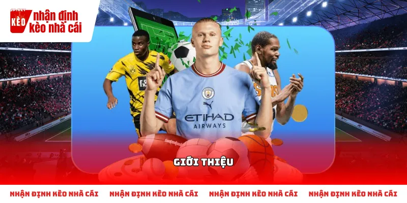 Giới thiệu chuyên trang Nhận Định Kèo Nhà Cái JPnet
