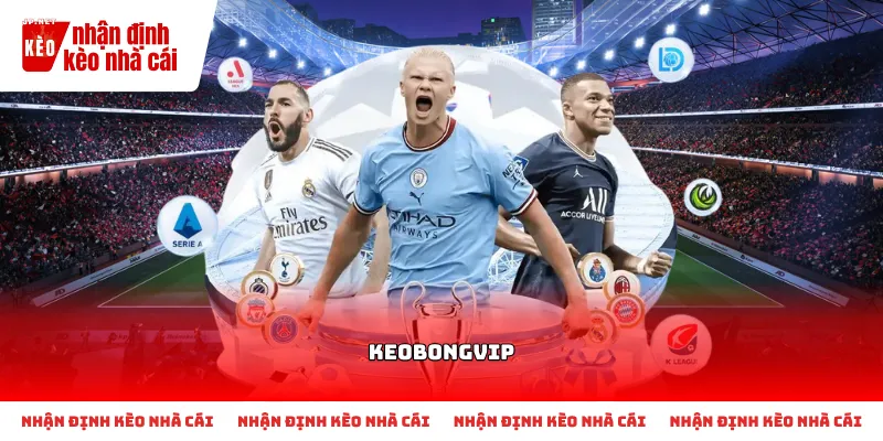 Đánh giá độ bảo mật và vận hành của Keobongvip cho người mới